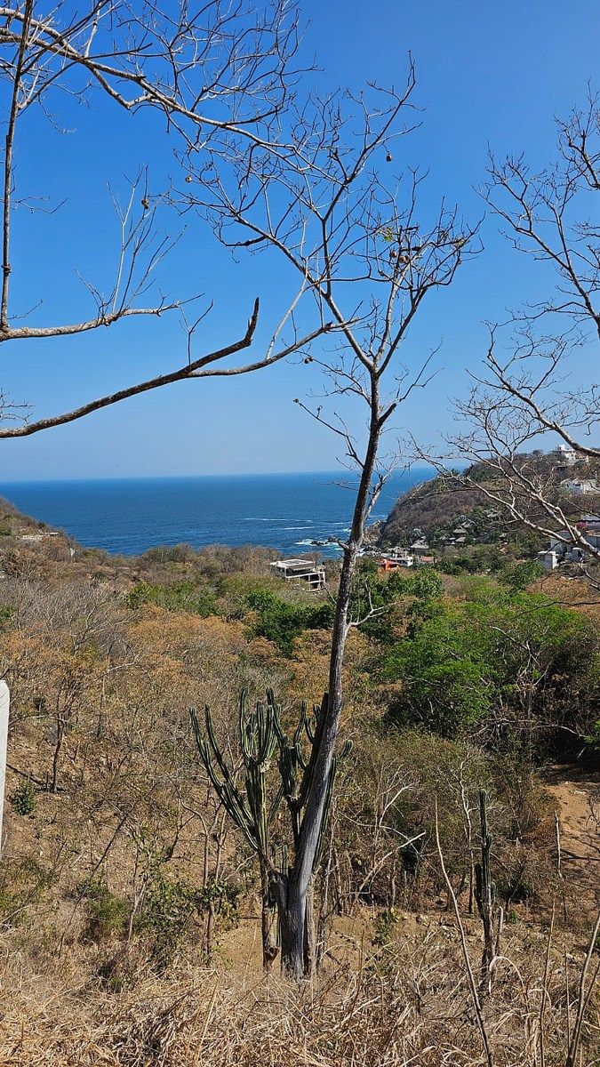 Terreno en La Mina, San Pedro Pochutla, foto 3 de 13