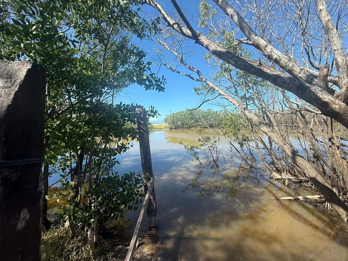 Terreno en Celestun, Celestún, foto 4 de 5