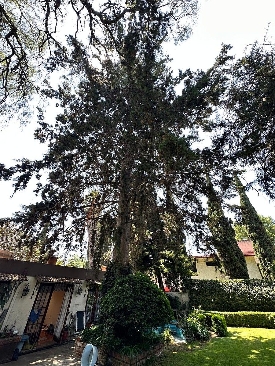 Casa en San Jerónimo Lídice, La Magdalena Contreras, foto 29 de 34