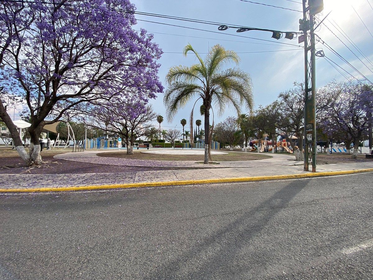 14 de 18