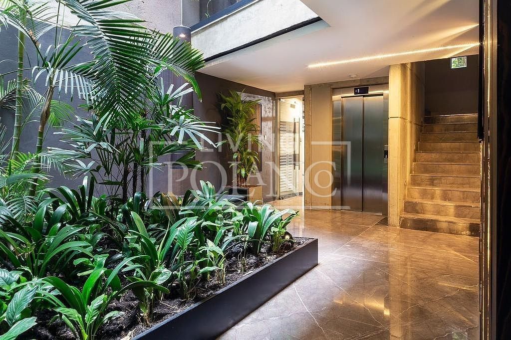 Departamento en Polanco IV Sección, Miguel Hidalgo, foto 4 de 20