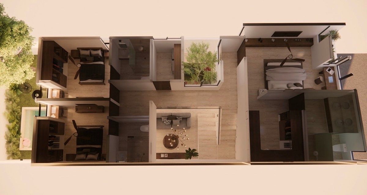 24 of 25: Planta alta