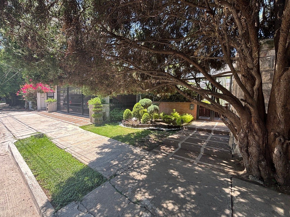 Lot in Del Valle, San Pedro Garza García, photo 5 of 5