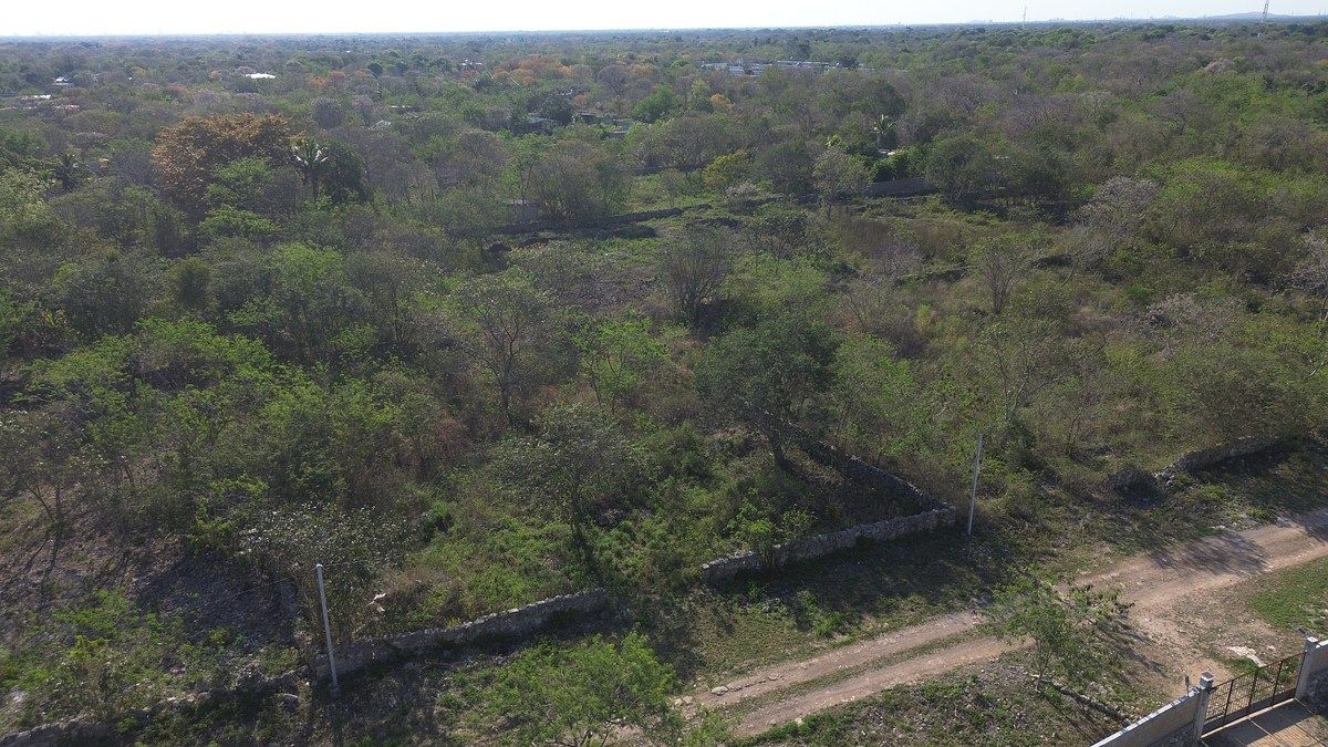 Terreno en Ucu, Ucú, foto 3 de 9