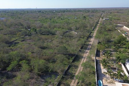 Terreno en venta en Ucú, Yucatán.