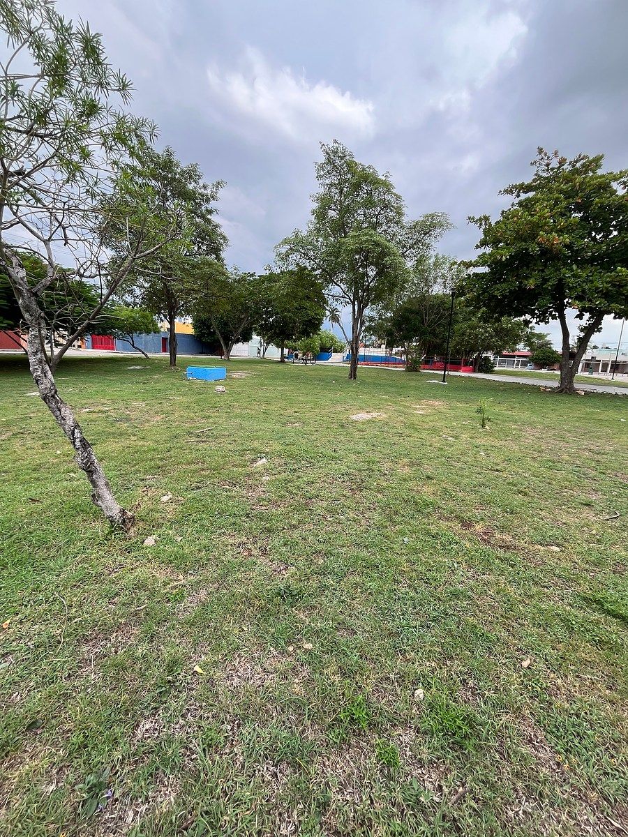 Casa em Francisco de Montejo, Mérida, foto 45 de 47