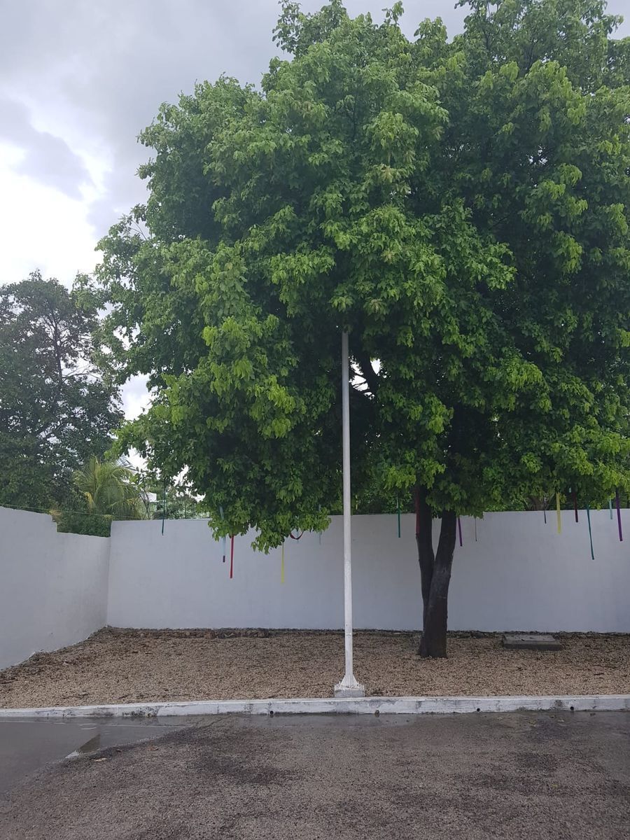 5 de 11