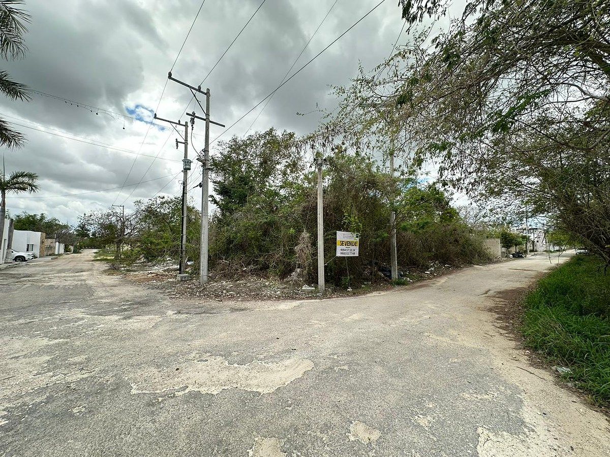 Lot in Temozón Norte, Mérida, photo 2 of 6