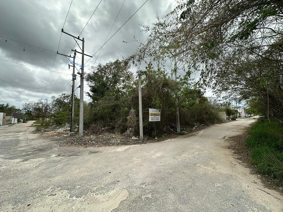 Lot in Temozón Norte, Mérida, photo 5 of 6