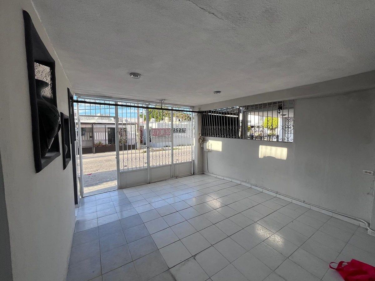 6 de 19
