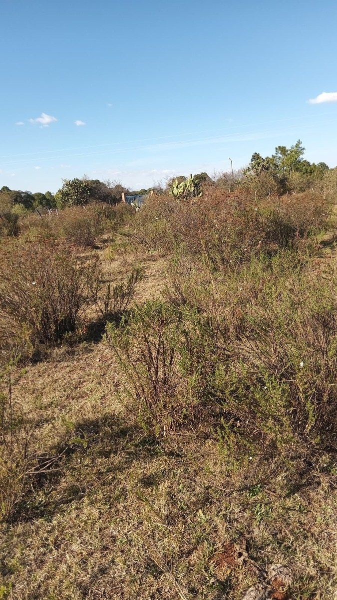 Terreno en venta en Atemajac de Brizuela - foto 2