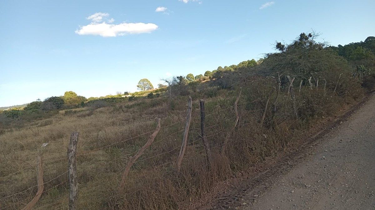 Terreno en venta en Atemajac de Brizuela - foto 4