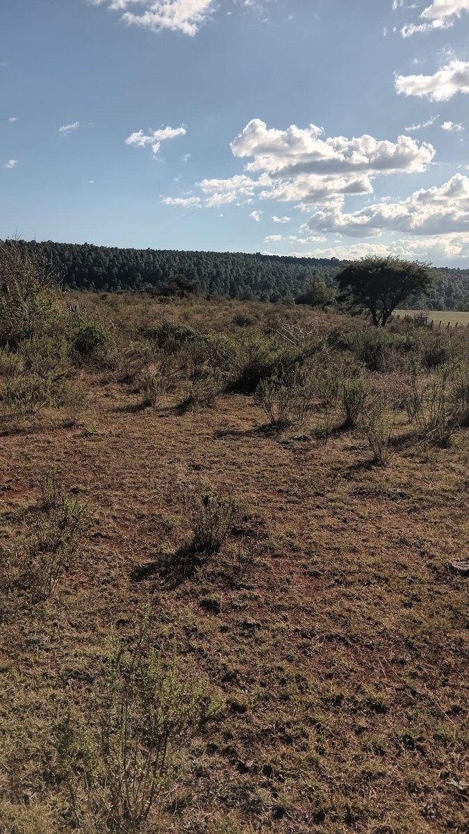 Terreno en venta en Atemajac de Brizuela - foto 5