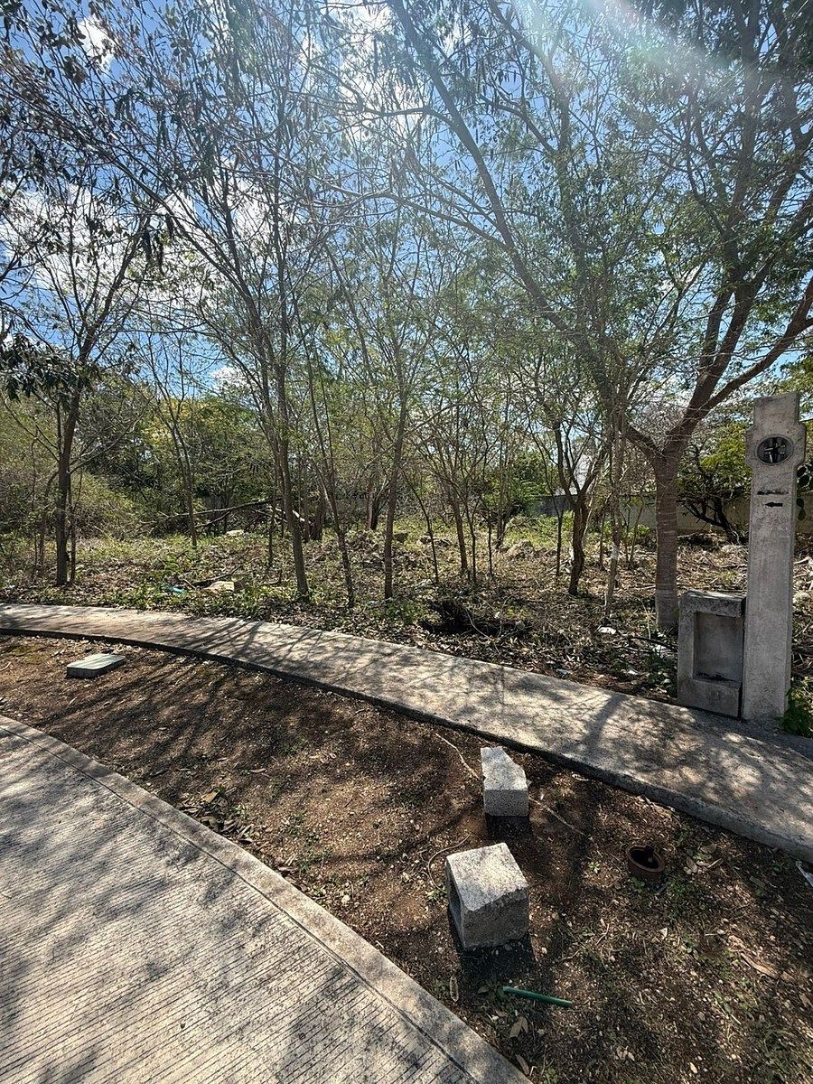 TERRENO DE 612 M2 EN VENTA EN MERIDA, YUCATAN EN PARQUE NATURA - foto 1