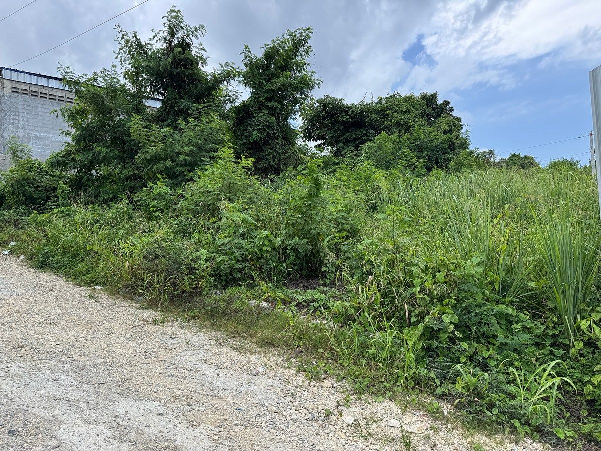 Terreno en Pantoja, Santo Domingo Oeste, foto 3 de 3