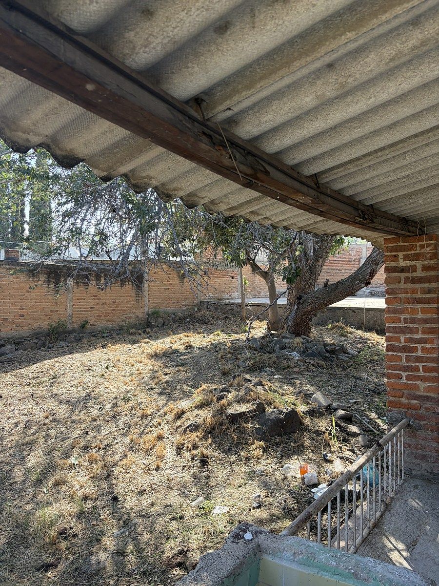 12 de 17