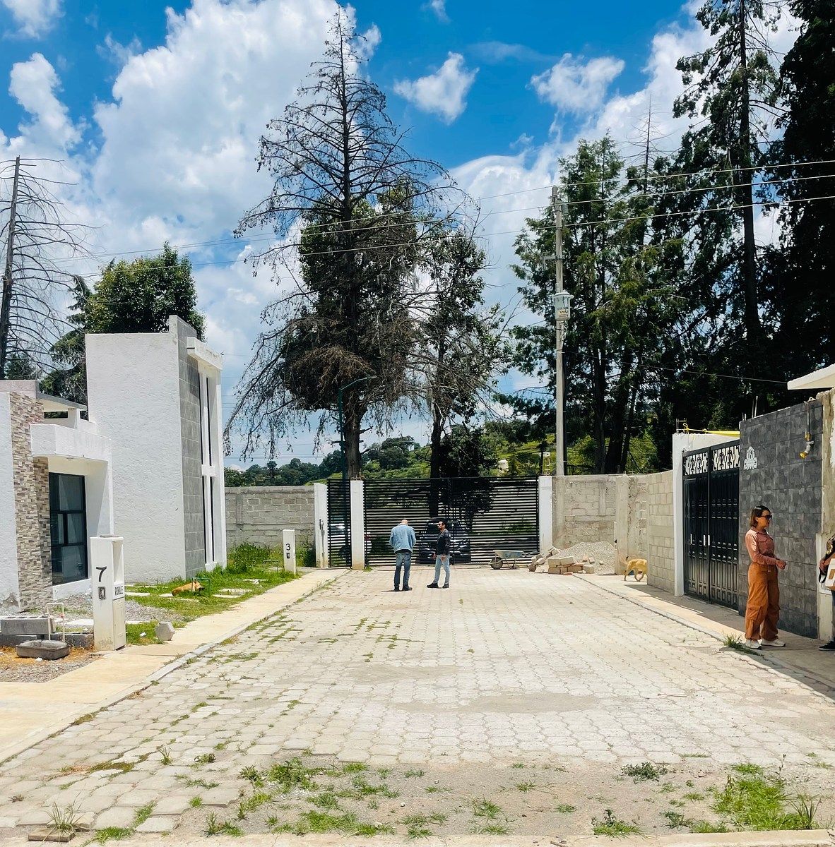 Lot in Domingo Arenas, Nanacamilpa de Mariano Arista, photo 2 of 7