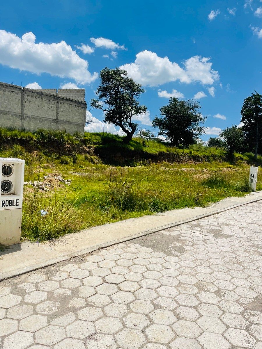 Lot in Domingo Arenas, Nanacamilpa de Mariano Arista, photo 3 of 7
