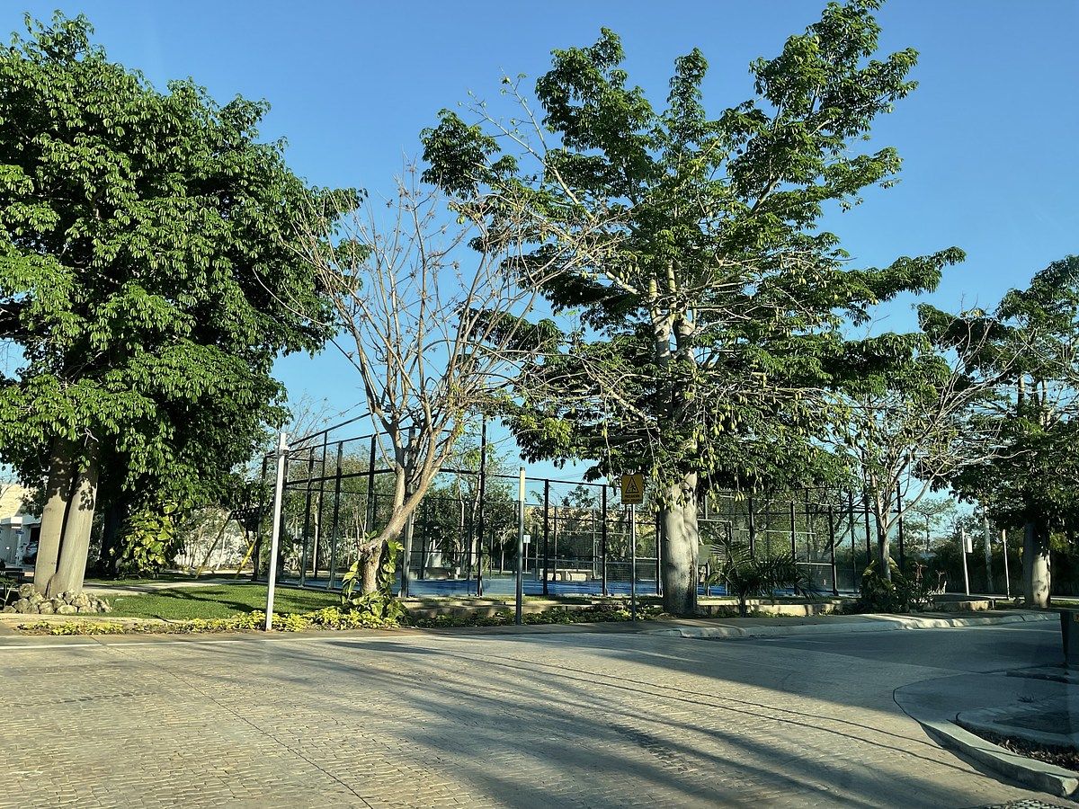 Amenidades, foto 19 de 39