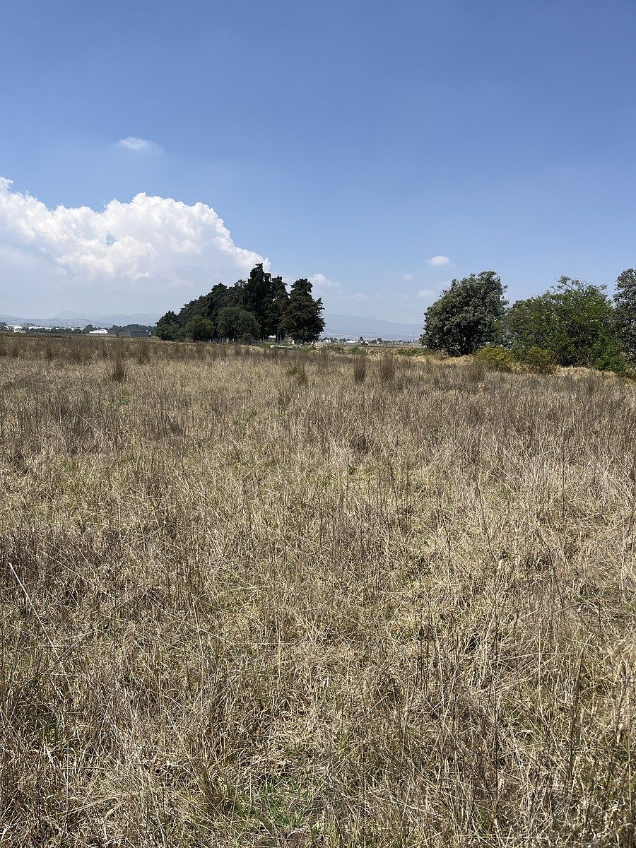 Terreno San Antonio Buenavista