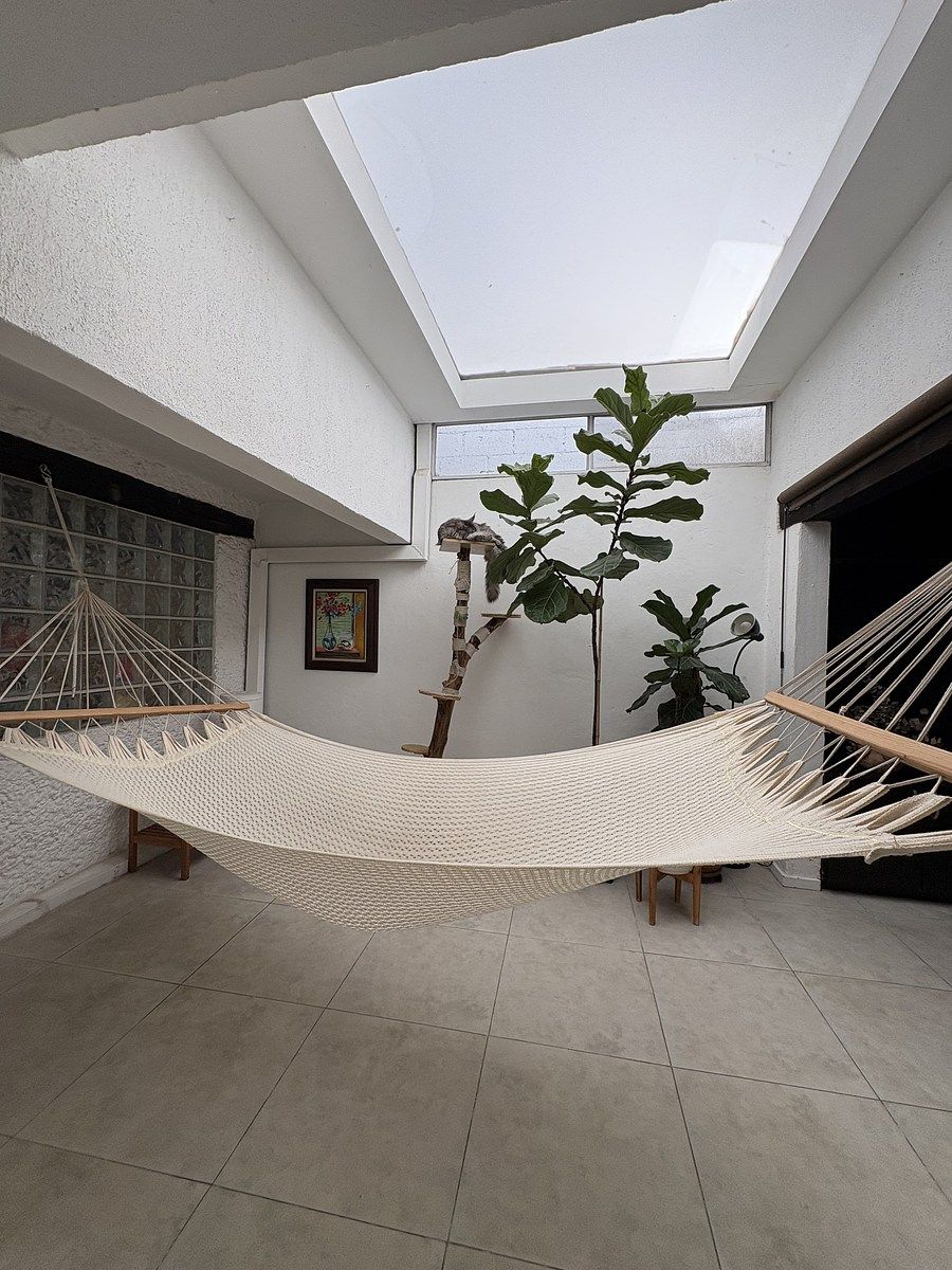 11 de 42: Hamaca abajo del domo