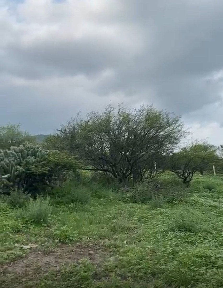 Terreno en Bernal, Ezequiel Montes, foto 4 de 5