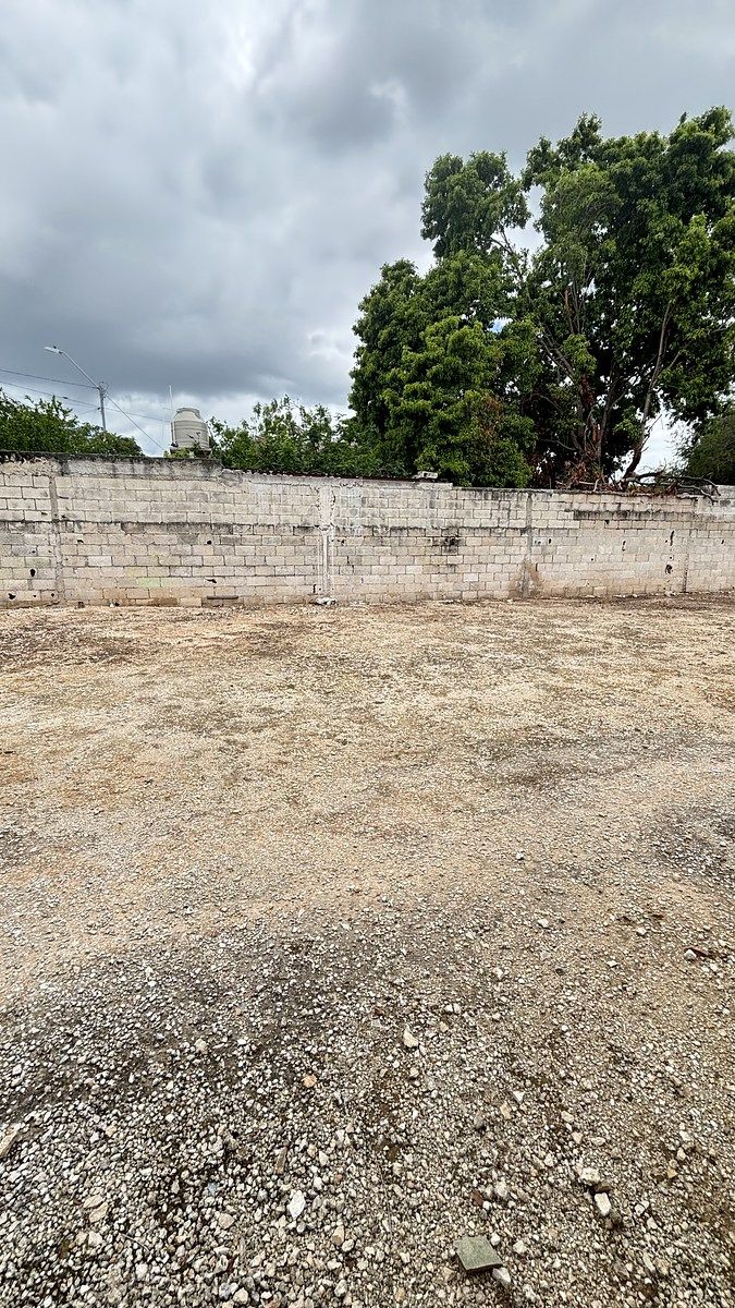 7 de 12: Bardeado
Con portón
Con toma de agua
Limpio
Aplanado