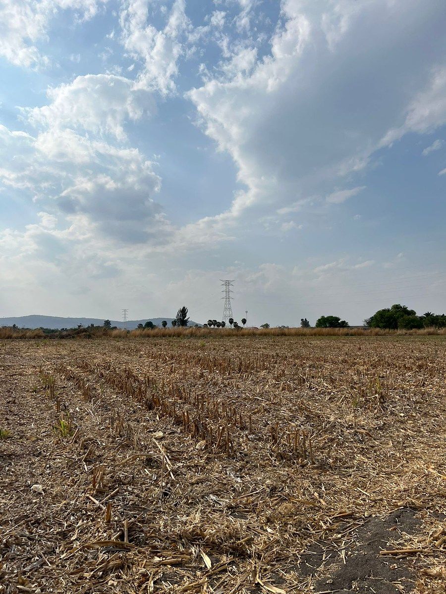 TERRENO EN VENTA EN IXTLAHUACAN DE LOS MEMBRILLOS - foto 1