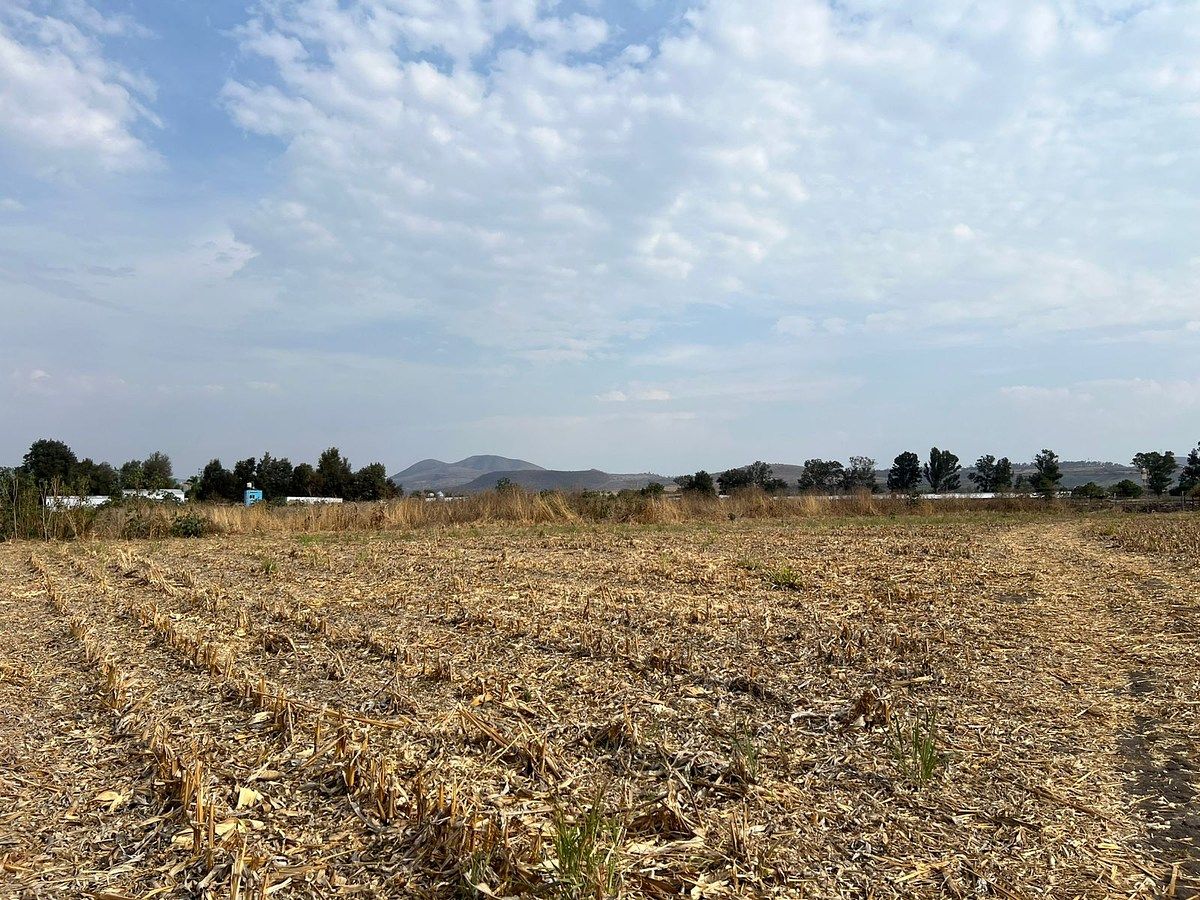 TERRENO EN VENTA EN IXTLAHUACAN DE LOS MEMBRILLOS - foto 2