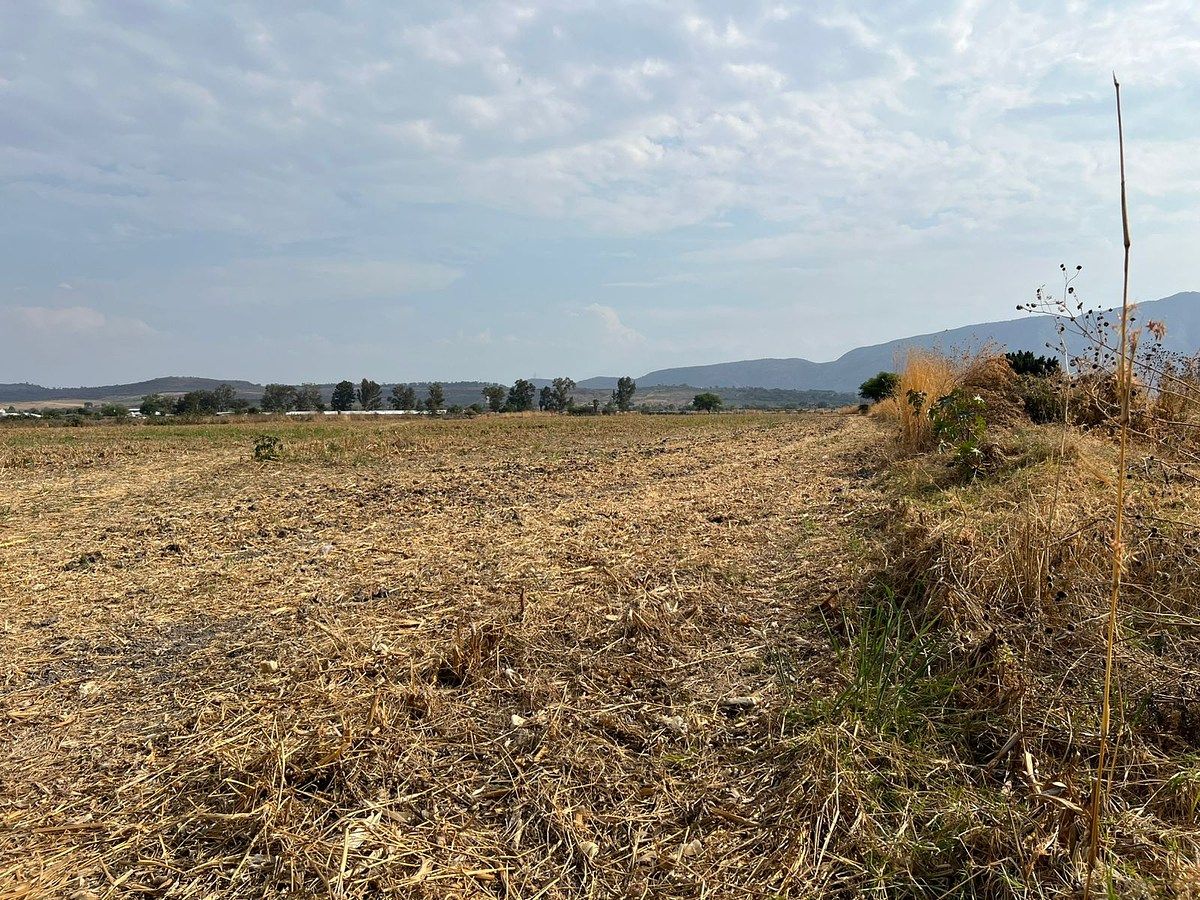 TERRENO EN VENTA EN IXTLAHUACAN DE LOS MEMBRILLOS - foto 3