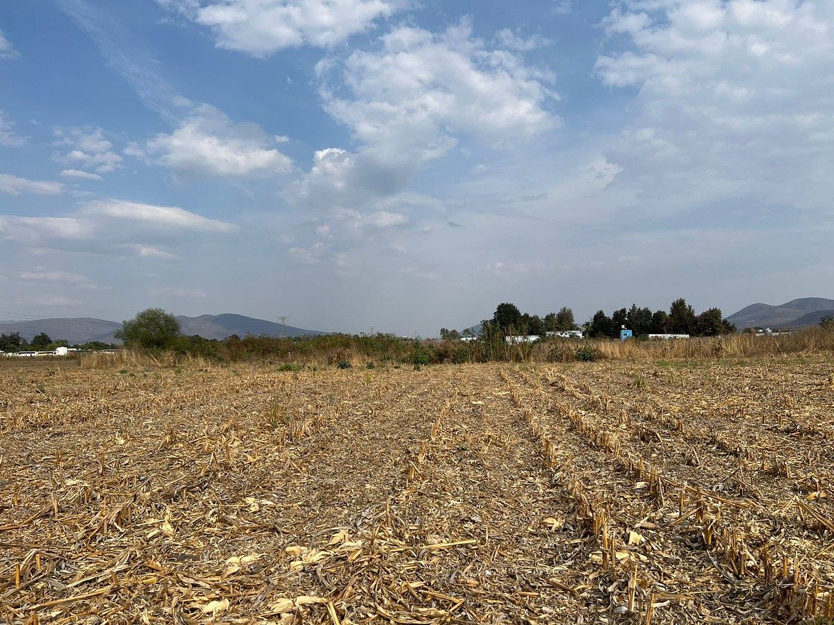 TERRENO EN VENTA EN IXTLAHUACAN DE LOS MEMBRILLOS - foto 4
