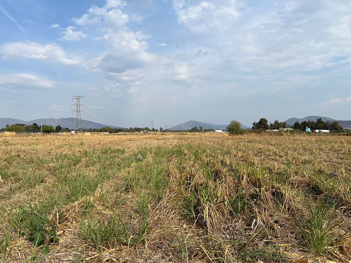 TERRENO EN VENTA EN IXTLAHUACAN DE LOS MEMBRILLOS - foto 5