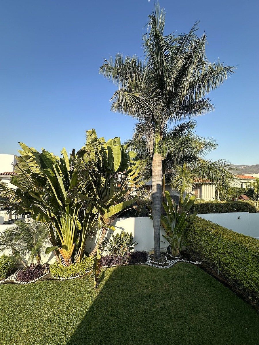 4 de 31: Parte del jardín privado