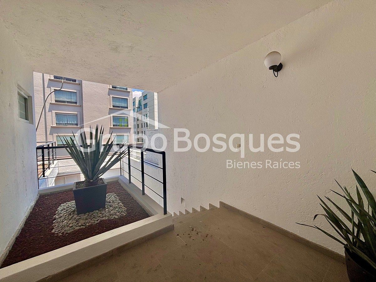 38 de 40: ENTRADA PRINCIPAL