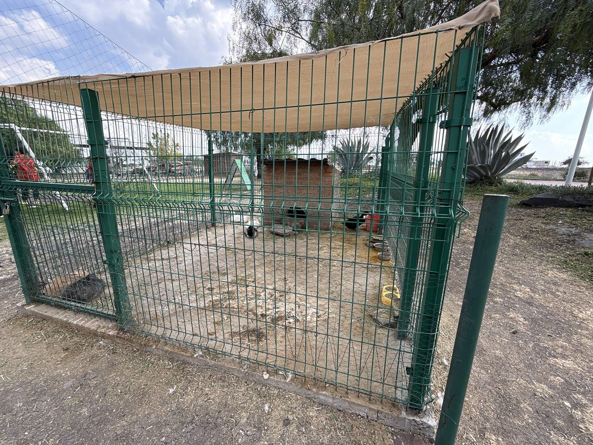 25 de 29: amenidades