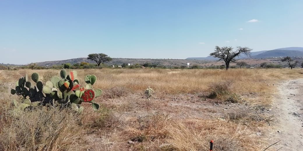 Terreno en San Marquitos, San Miguel de Allende, foto 13 de 14