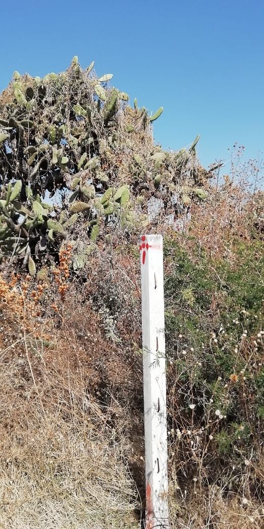 Terreno en San Marquitos, San Miguel de Allende, foto 14 de 14