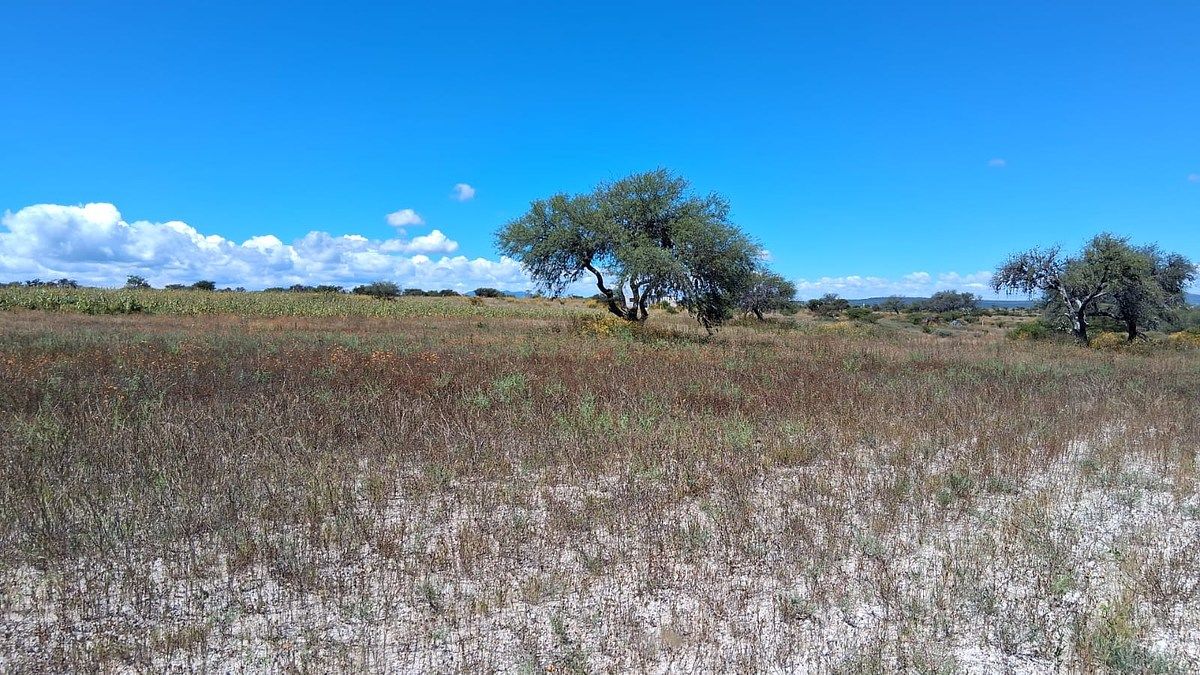 Terreno en venta en San Miguel de Allende - foto 1