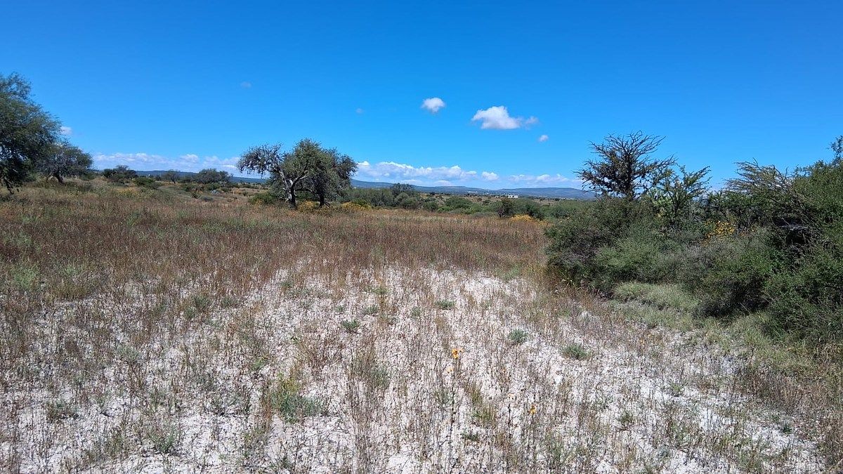 Terreno en venta en San Miguel de Allende - foto 2