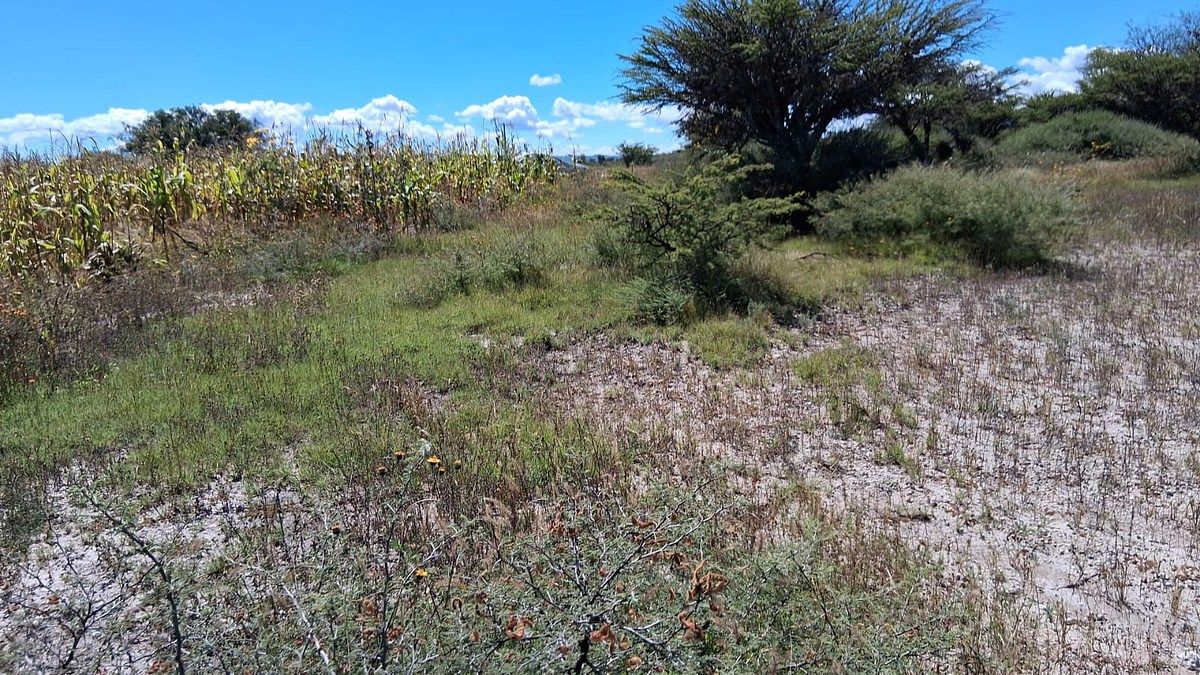 Terreno en venta en San Miguel de Allende - foto 3