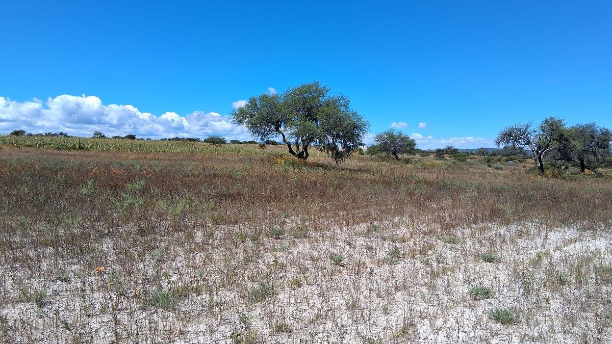 Terreno en venta en San Miguel de Allende - foto 4