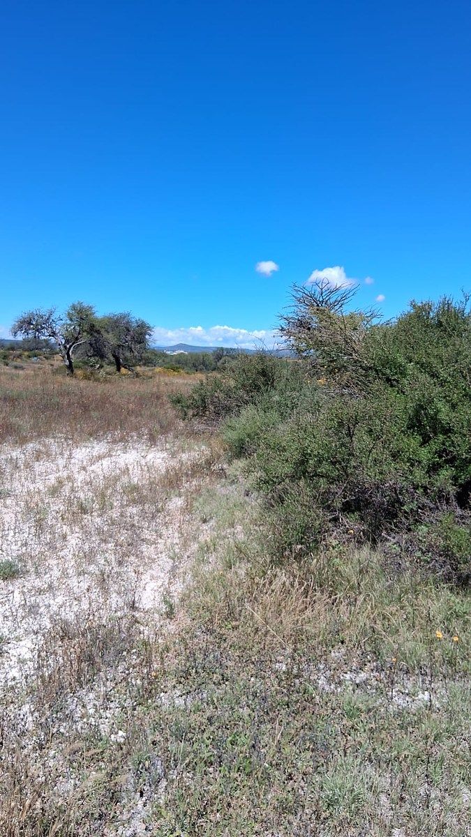 Terreno en venta en San Miguel de Allende - foto 5