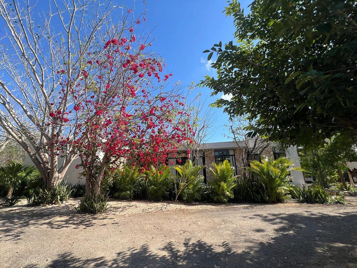 18 de 32: Casa de dia con paisajismo