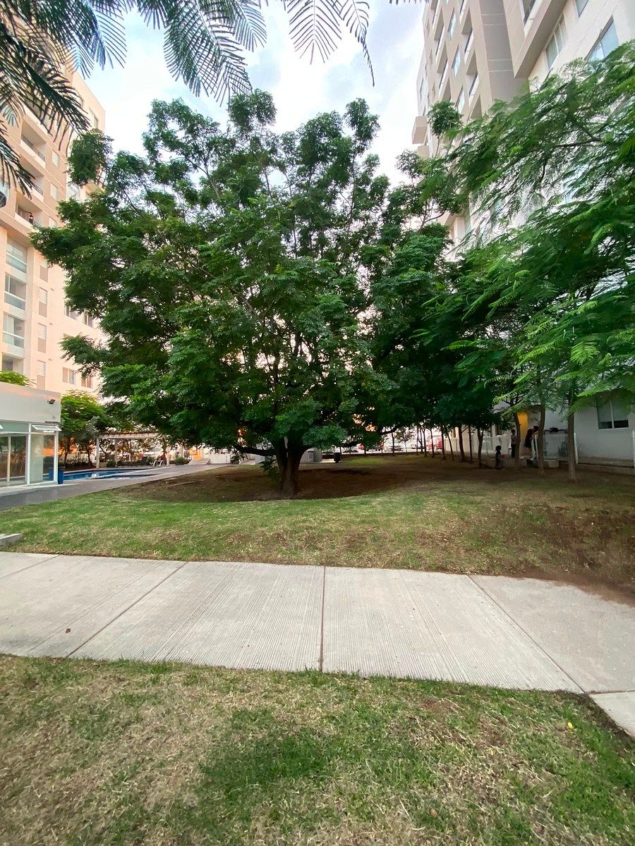 Apartamento em Lomas de Independencia, Guadalajara, foto 2 de 15