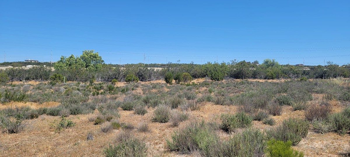 Lote em Luis Echeverría Álvarez, Tecate, foto 11 de 28