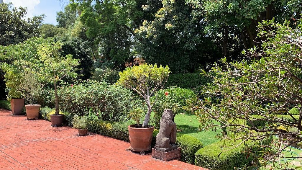 8 de 15: Terraza y jardín