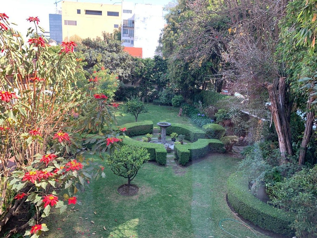 4 de 15: Jardín, vista desde el departamento