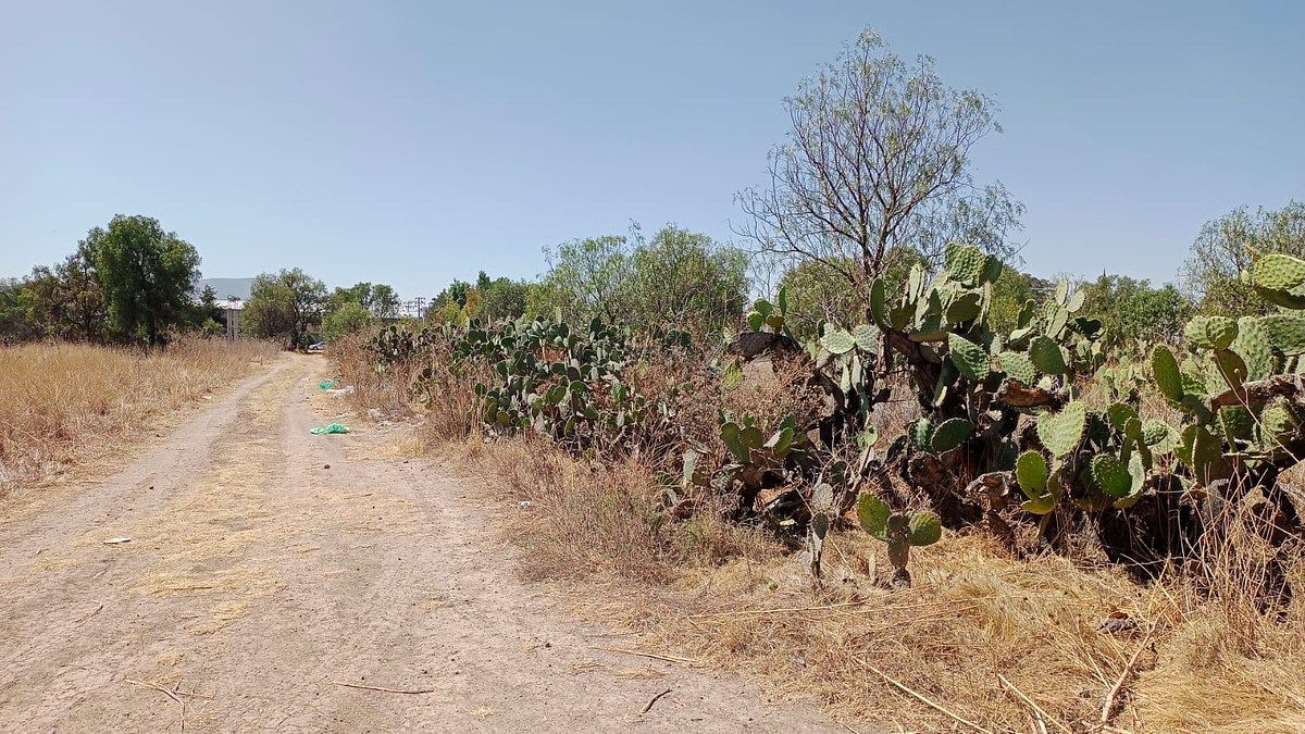 Lote em San Martín de las Pirámides, San Martín de las Pirámides, foto 6 de 7