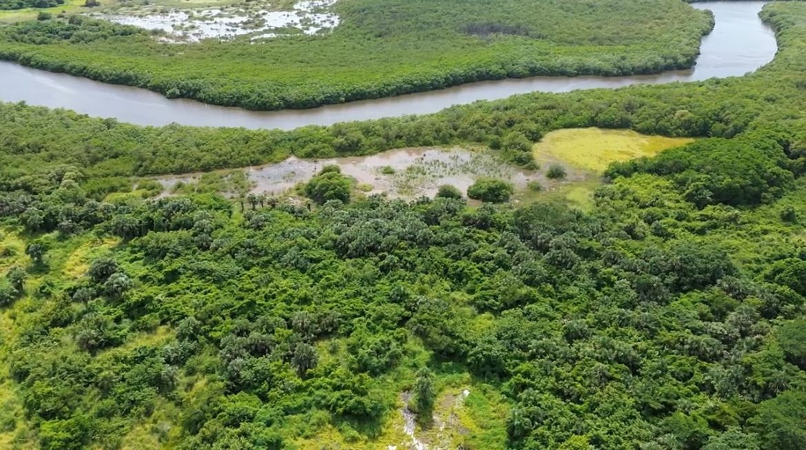 Terreno de 4,000 m2 en venta en La Matosa. RIVIERA VERACRUZANA - foto 1