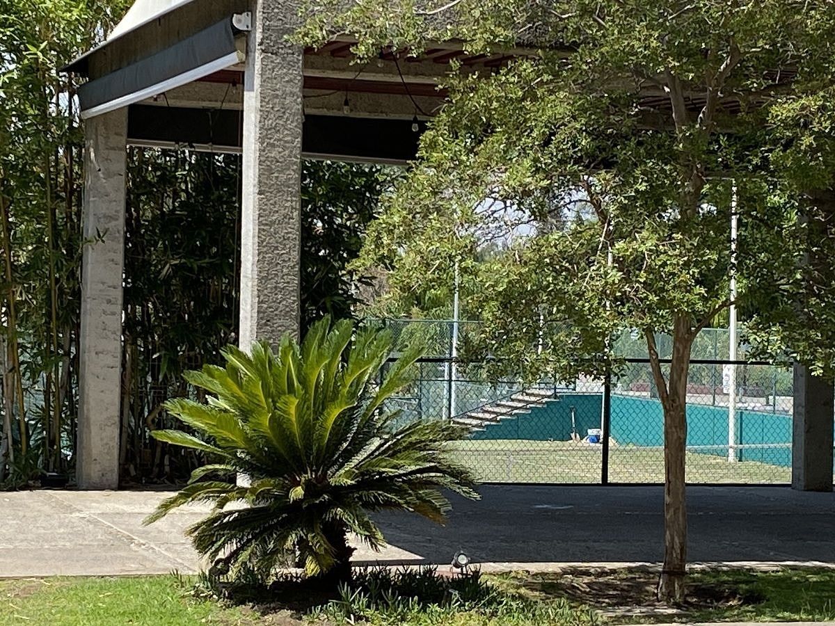 41 de 45: Canchas Club la Rioja